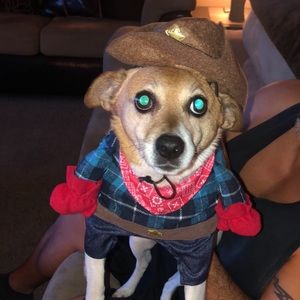 Meet your Posher, Kylie